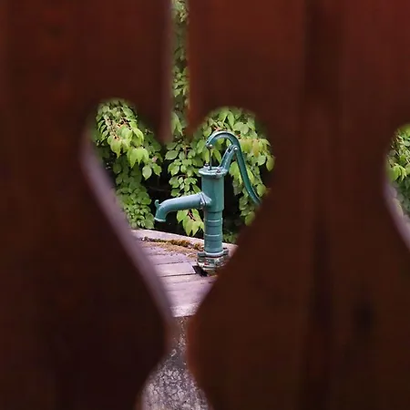 House Alpine Rose Hébergement de vacances *