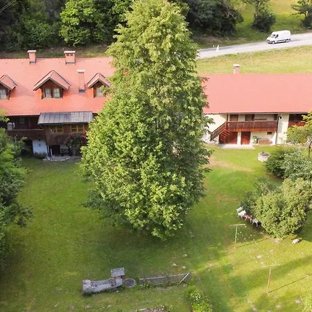 House Alpine Rose * Mojstrana