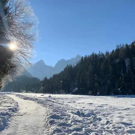 בית נופש House Alpine Rose