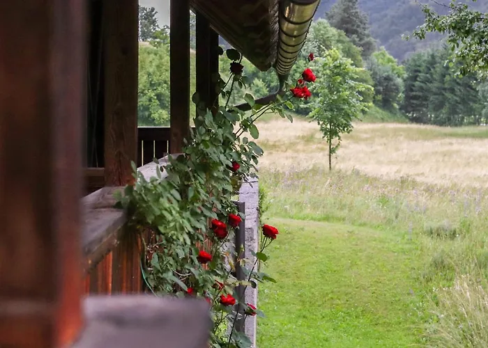 House Alpine Rose Vakantiehuis *