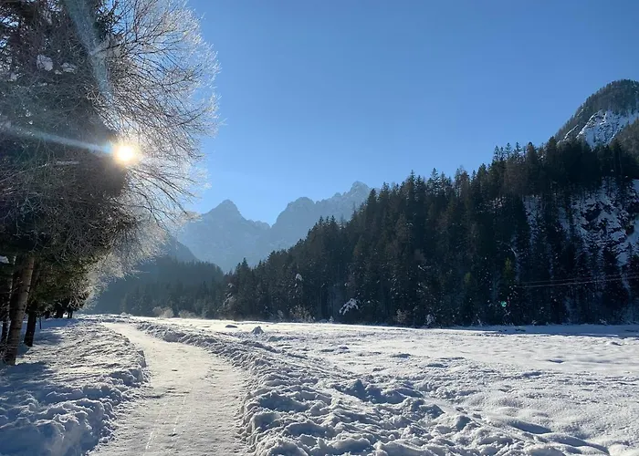 Vakantiehuis House Alpine Rose